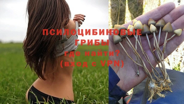 экстази Баксан